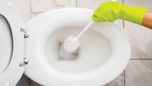Как почистить унитаз народными средствами