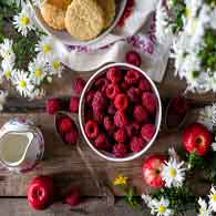 Народные средства от кашля для взрослого: рецепты настоек