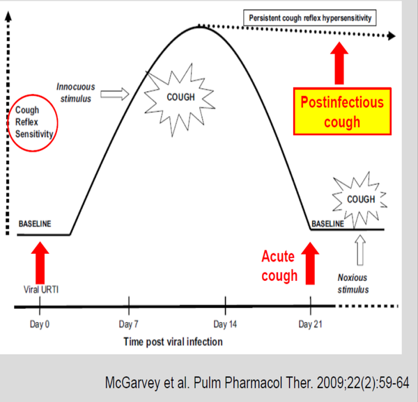 Алгоритмы диагностики и лечения острого и подострого кашля