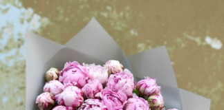 Букет півоній — ніжний аромат та витривалість