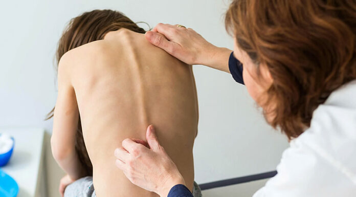 Особенности исследования позвоночника