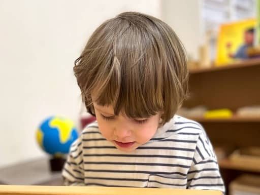 Чем полезна педагогика по Монтессори для дошколят: в чем особенности метода, завоевавшего популярность