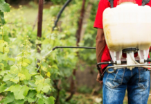 Обработка участков от клещей в Москве: основные методы и технологии