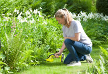 Что нужно знать о кусторезах: виды, нюансы работы и безопасность